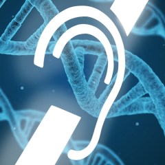 Episode 20: Deafness and Genetic Engineering